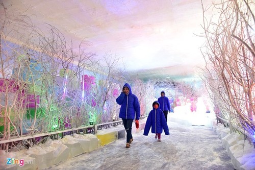 Kids escape heat at Saigon Polar Expo - ảnh 3